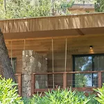 Casarina בוניפסיו