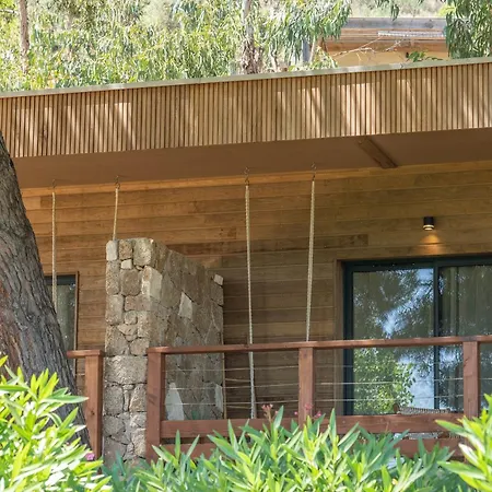 Casarina Бонифачо